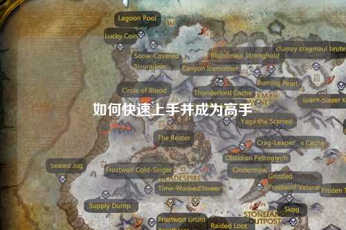 如何快速上手并成為高手