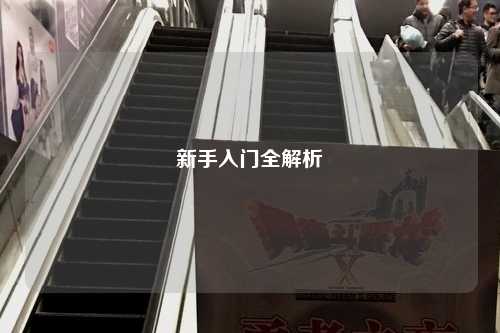 新手入門(mén)全解析