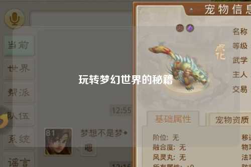 玩轉(zhuǎn)夢(mèng)幻世界的秘籍