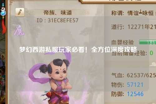 夢(mèng)幻西游私服玩家必看！全方位深度攻略