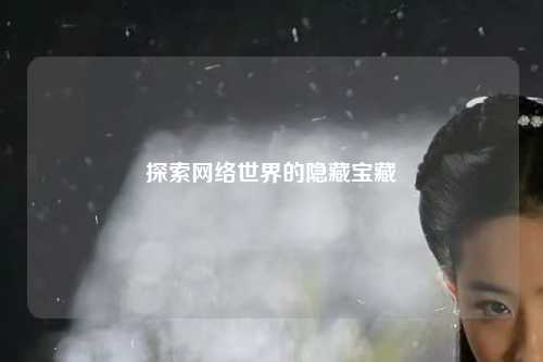 探索網(wǎng)絡世界的隱藏寶藏