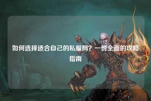 如何選擇適合自己的私服網(wǎng)？一份全面的攻略指南