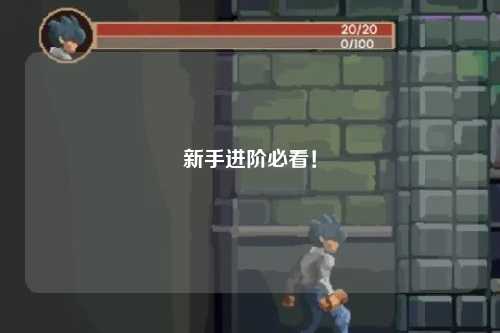 新手進(jìn)階必看！