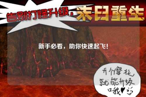 新手必看，助你快速起飛！