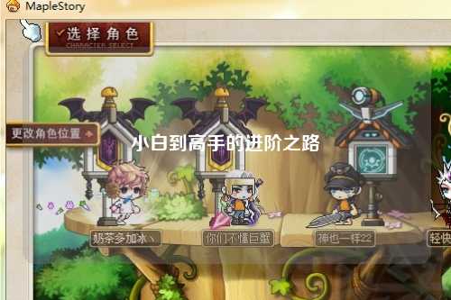 小白到高手的進階之路