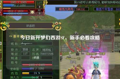 今日新開(kāi)夢(mèng)幻西游SF，新手必看攻略