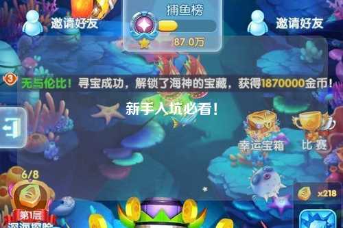 新手入坑必看！