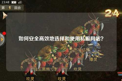 如何安全高效地選擇和使用私服網(wǎng)站？