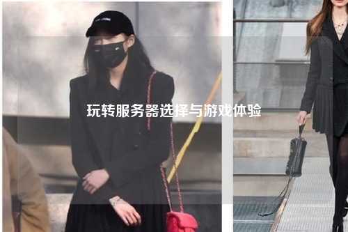 玩轉(zhuǎn)服務器選擇與游戲體驗