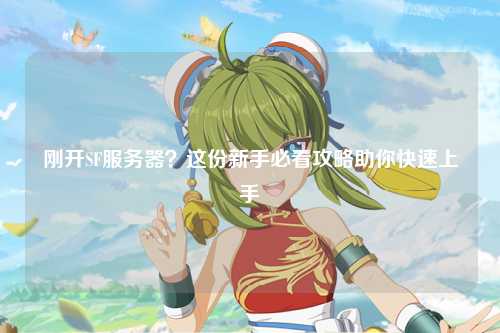 剛開(kāi)SF服務(wù)器？這份新手必看攻略助你快速上手