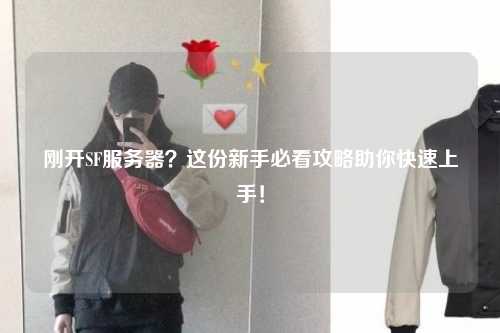 剛開SF服務(wù)器？這份新手必看攻略助你快速上手！