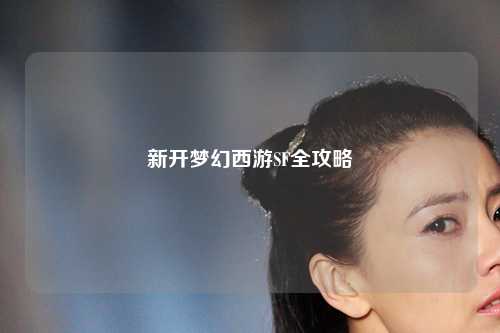 新開(kāi)夢(mèng)幻西游SF全攻略