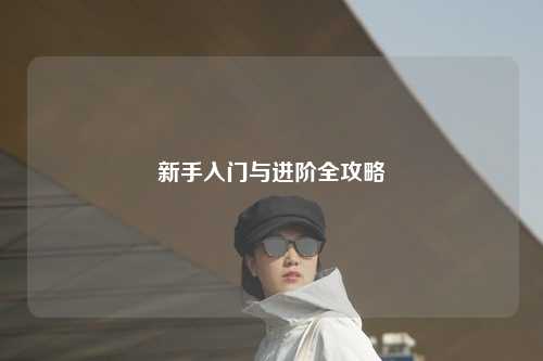 新手入門與進(jìn)階全攻略