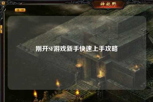 剛開(kāi)SF游戲新手快速上手攻略