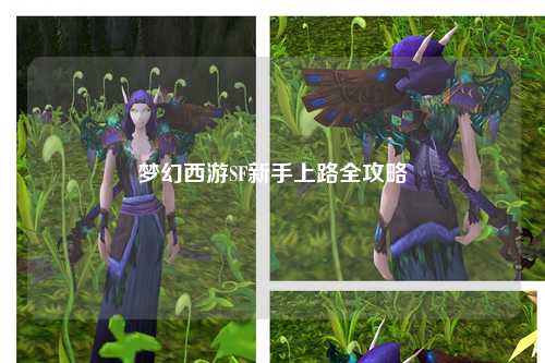 夢幻西游SF新手上路全攻略