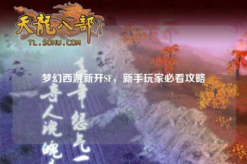 夢(mèng)幻西游新開SF，新手玩家必看攻略