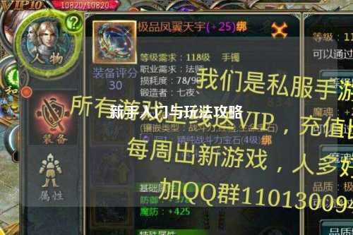 新手入門(mén)與玩法攻略