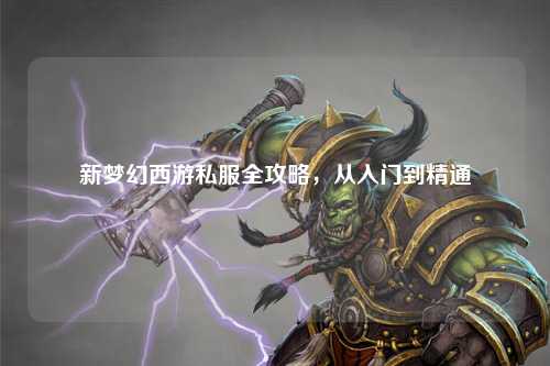 新夢幻西游私服全攻略，從入門到精通