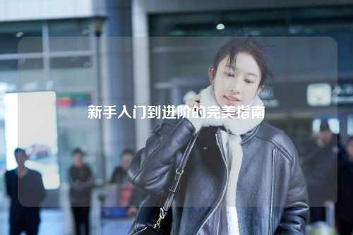 新手入門到進(jìn)階的完美指南