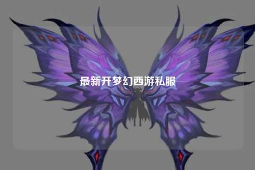 最新開夢(mèng)幻西游私服