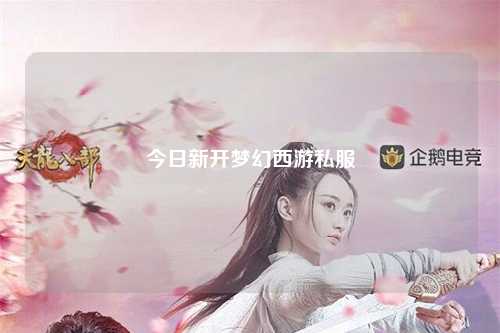 今日新開(kāi)夢(mèng)幻西游私服