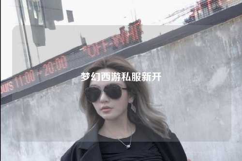 夢幻西游私服新開