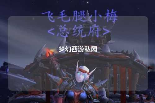 夢幻西游私網(wǎng)