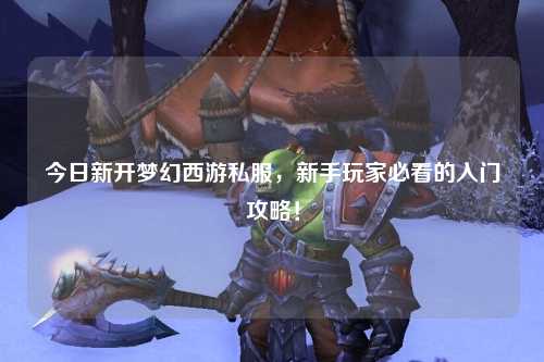 今日新開夢(mèng)幻西游私服，新手玩家必看的入門攻略！