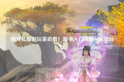 剛開私服的玩家必看！新手入門攻略+經(jīng)驗(yàn)分享